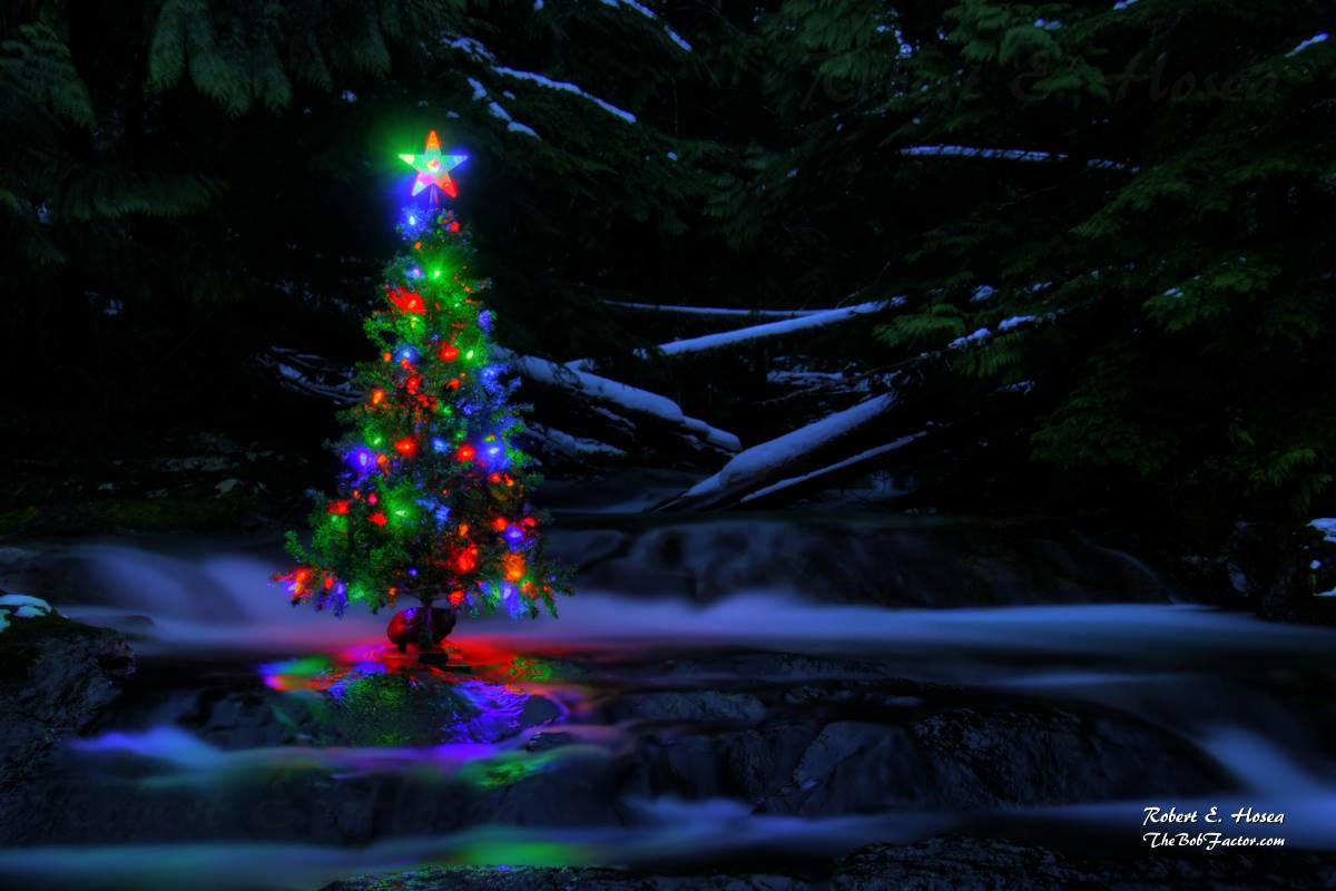 Christmas spirit